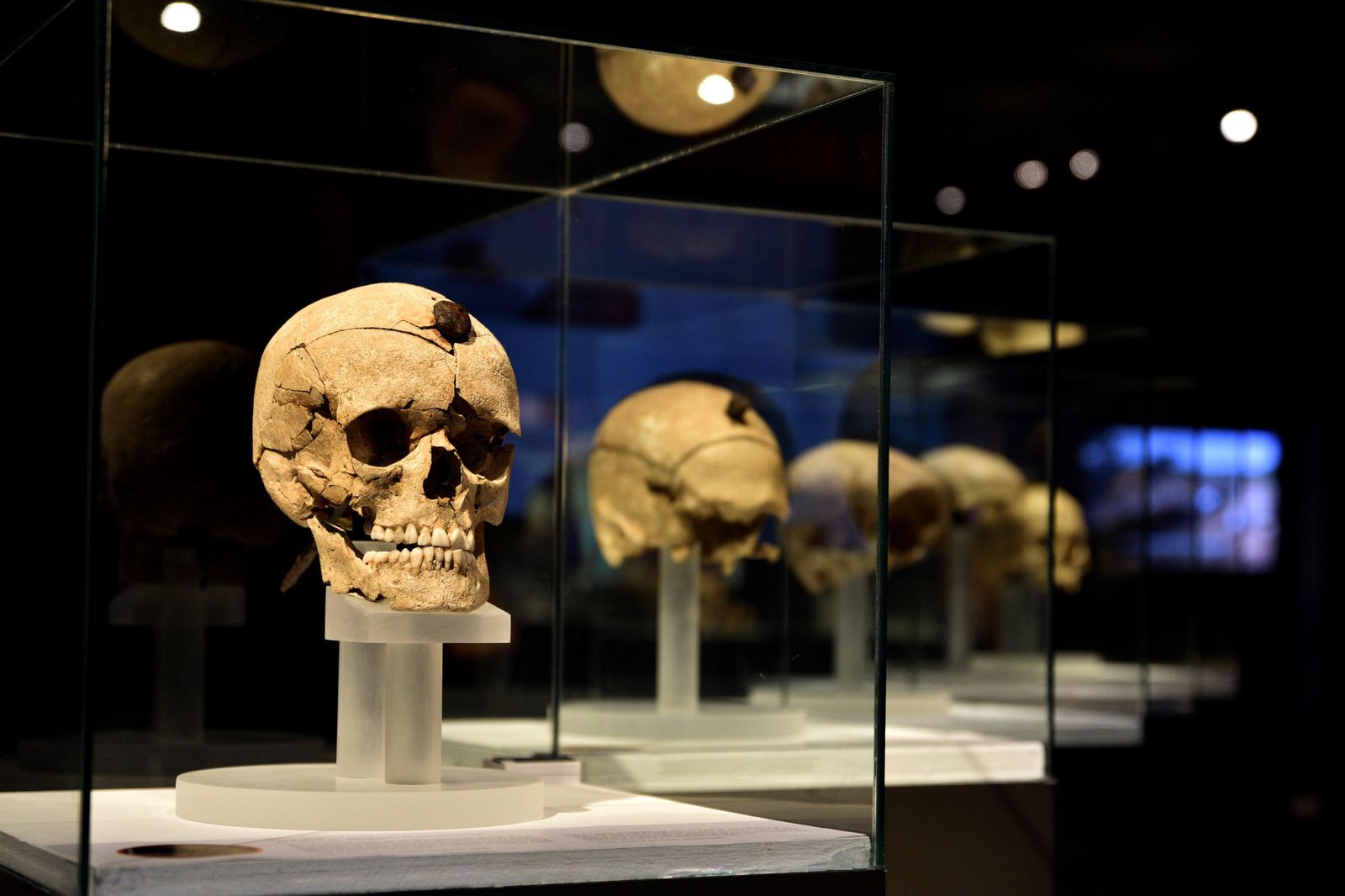 Prehistóricos trofeos de guerra de la cultura ibérica en el Arqueológico