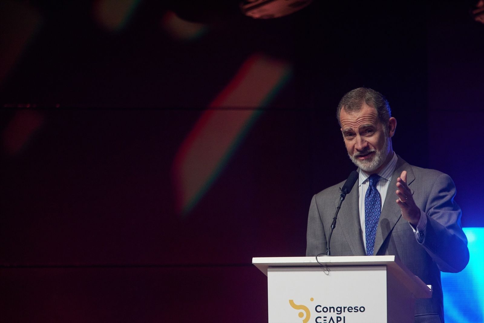 El Rey Felipe VI en el acto inaugural del VI Congreso Iberoamericano CEAP