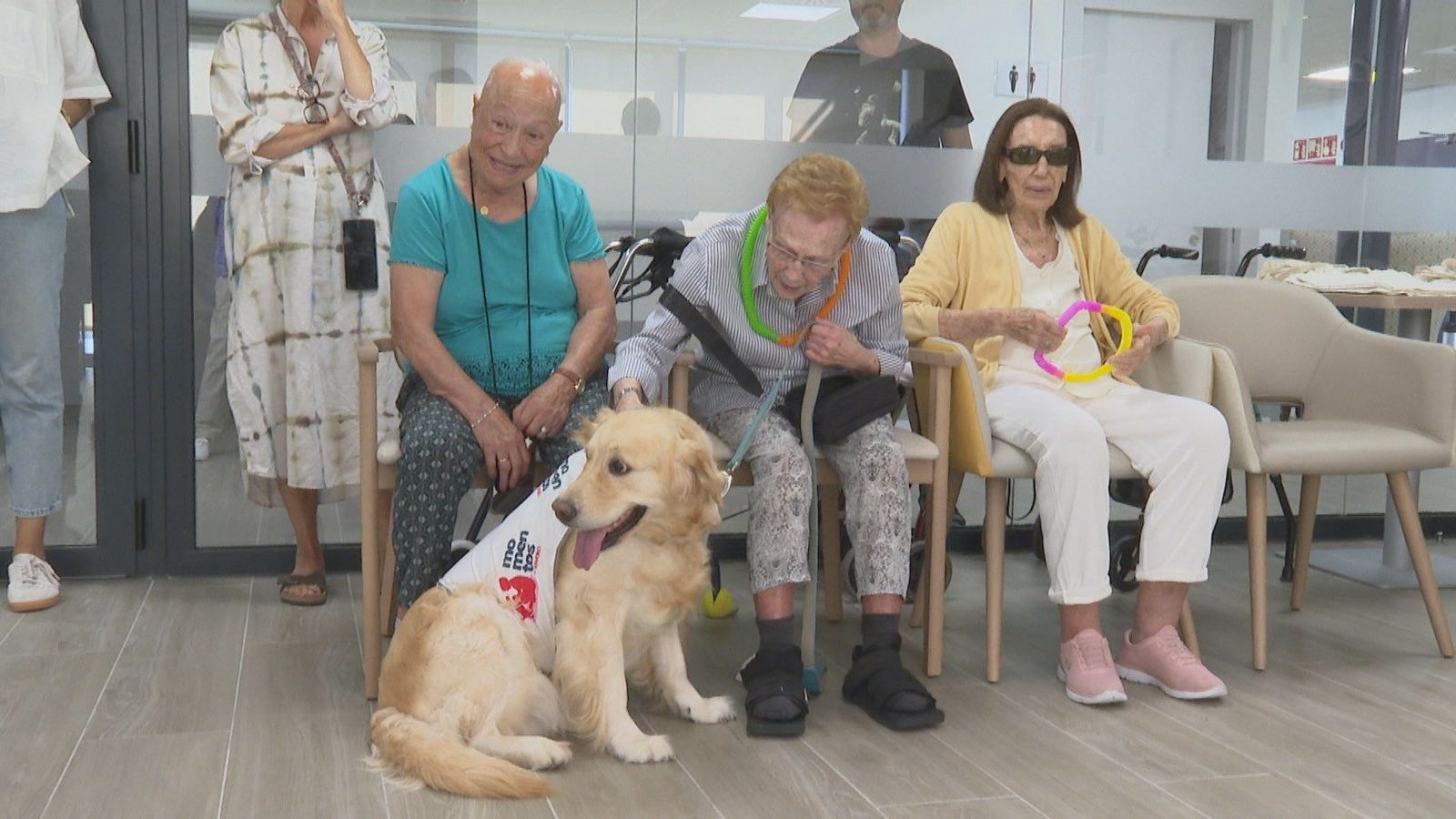 Terapia con perros para combatir la soledad en personas mayores