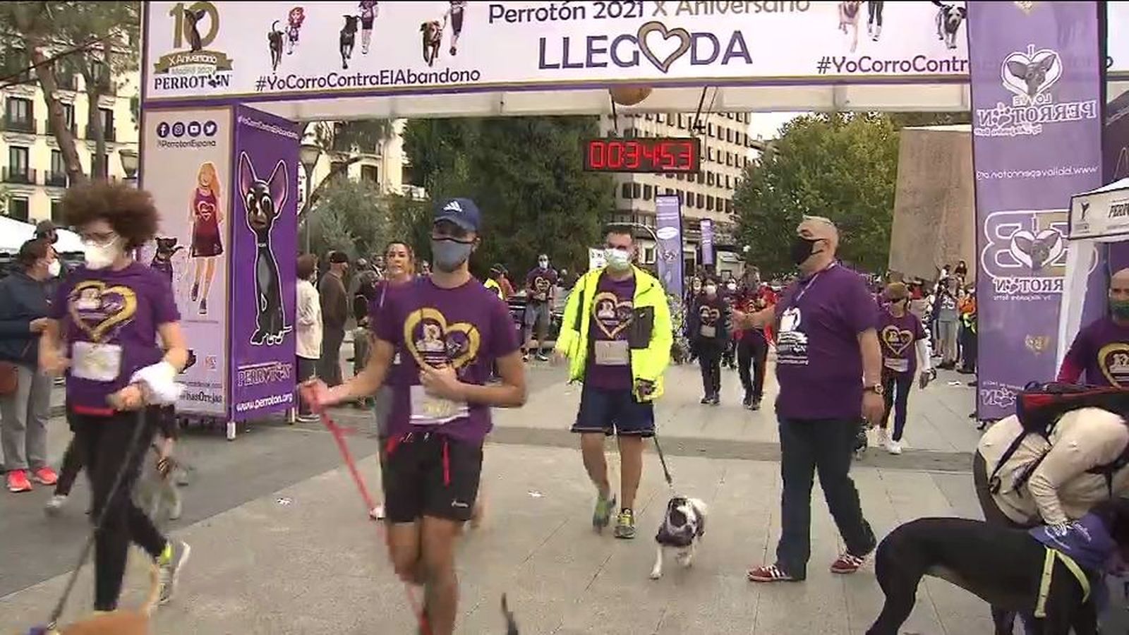 El Perrotón de Madrid regresa para concienciar sobre el abandono tras las adopciones durante el confinamiento