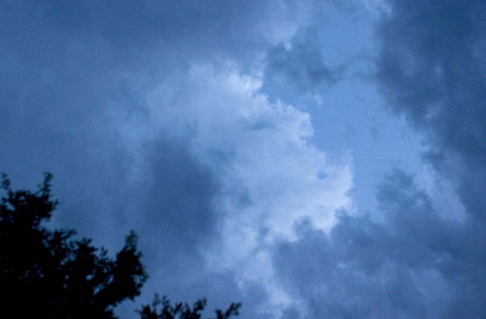 lluvia470_morgue