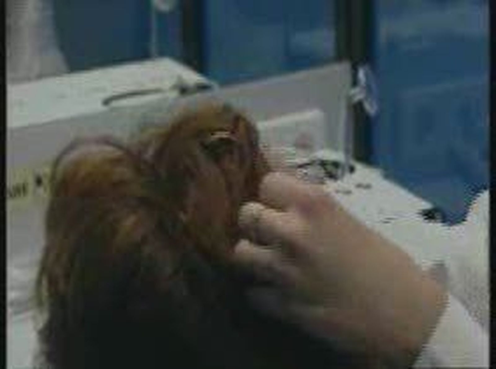 La OCU denuncia el "engaño" de los tratamientos contra la alopecia
