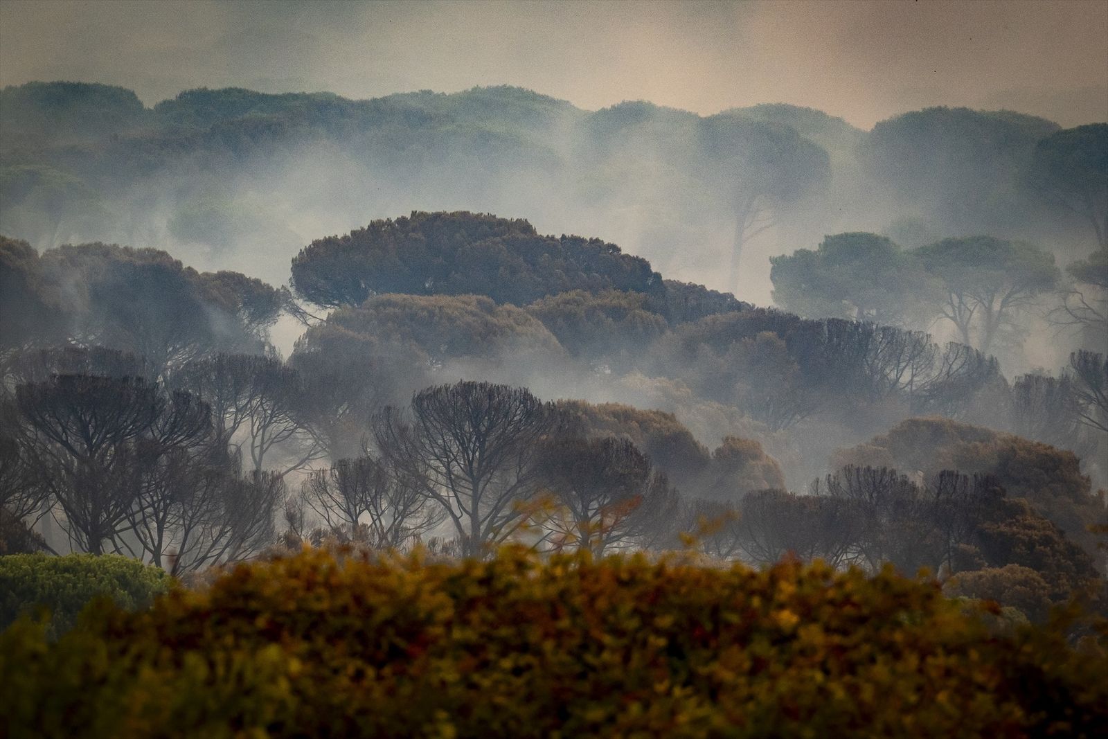 Vista del incendio forestal, a 25 de julio de 2026, en San Martín de Valdeiglesias