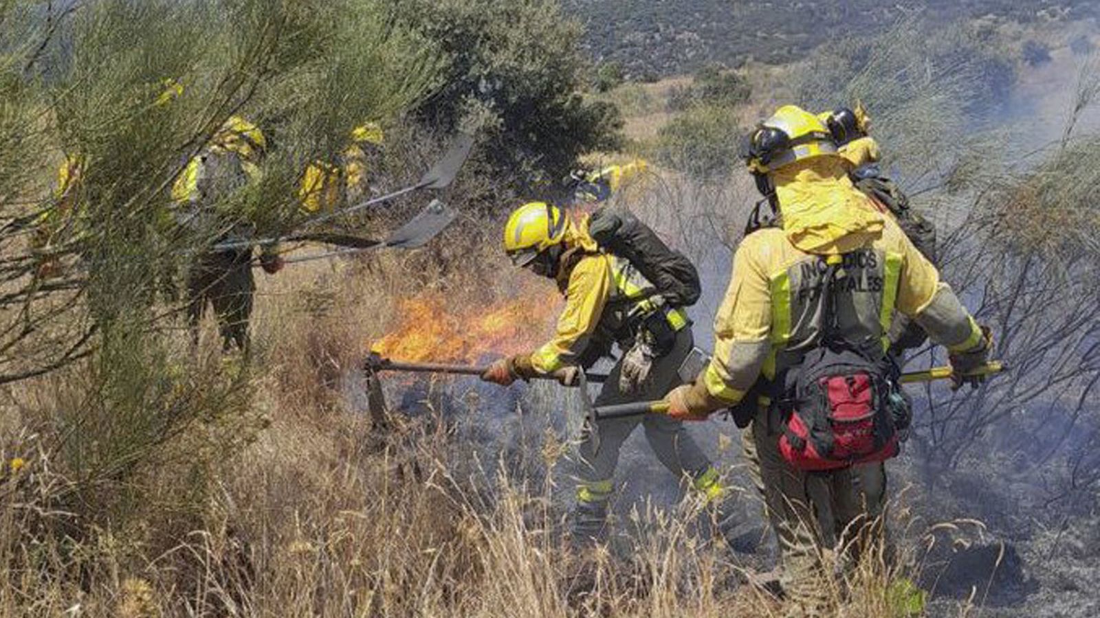 Incendio El Molar buenoo
