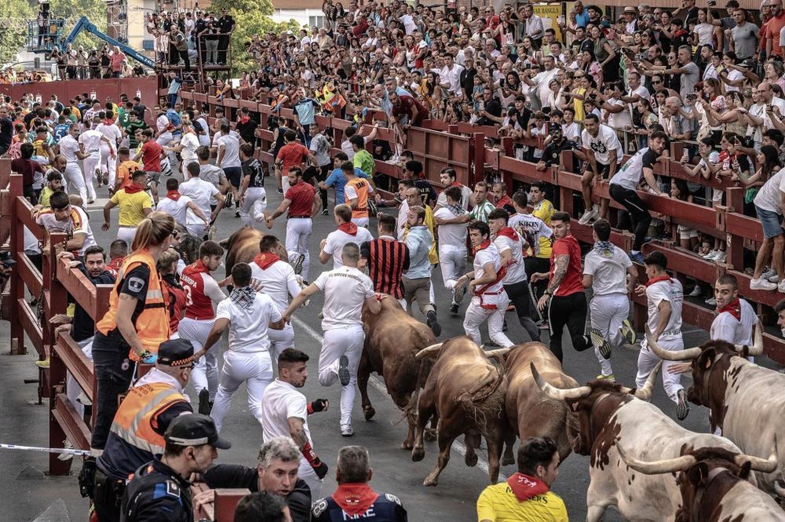 Encierros de Sanse