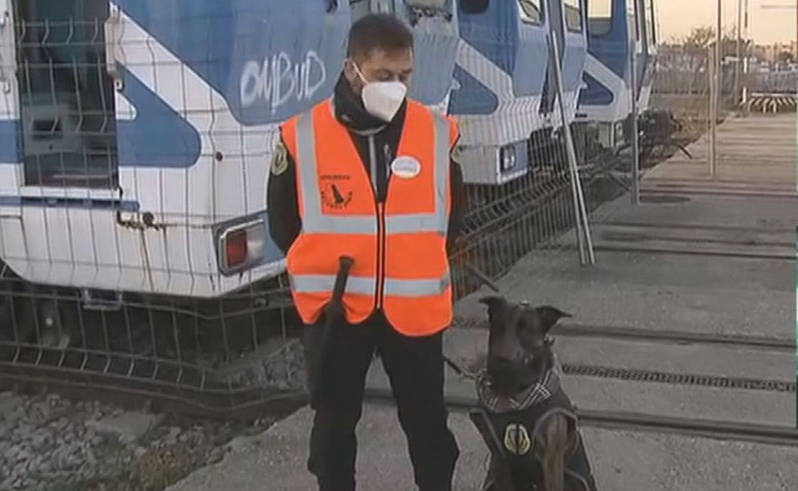 Perros para evitar que los grafiteros actúen en el metro de Madrid