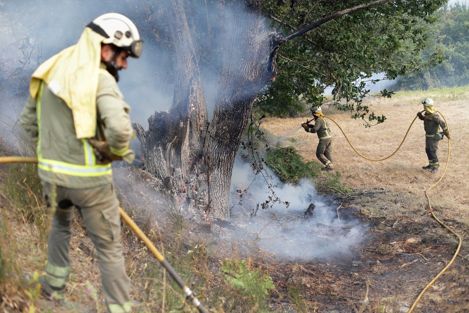 Varios bomberos trabajan en la extinción del fuego de Folgoso do Courel (Lugo)