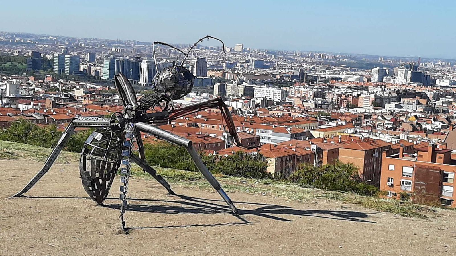 Una hormiga gigante aparece en un parque de Vallecas