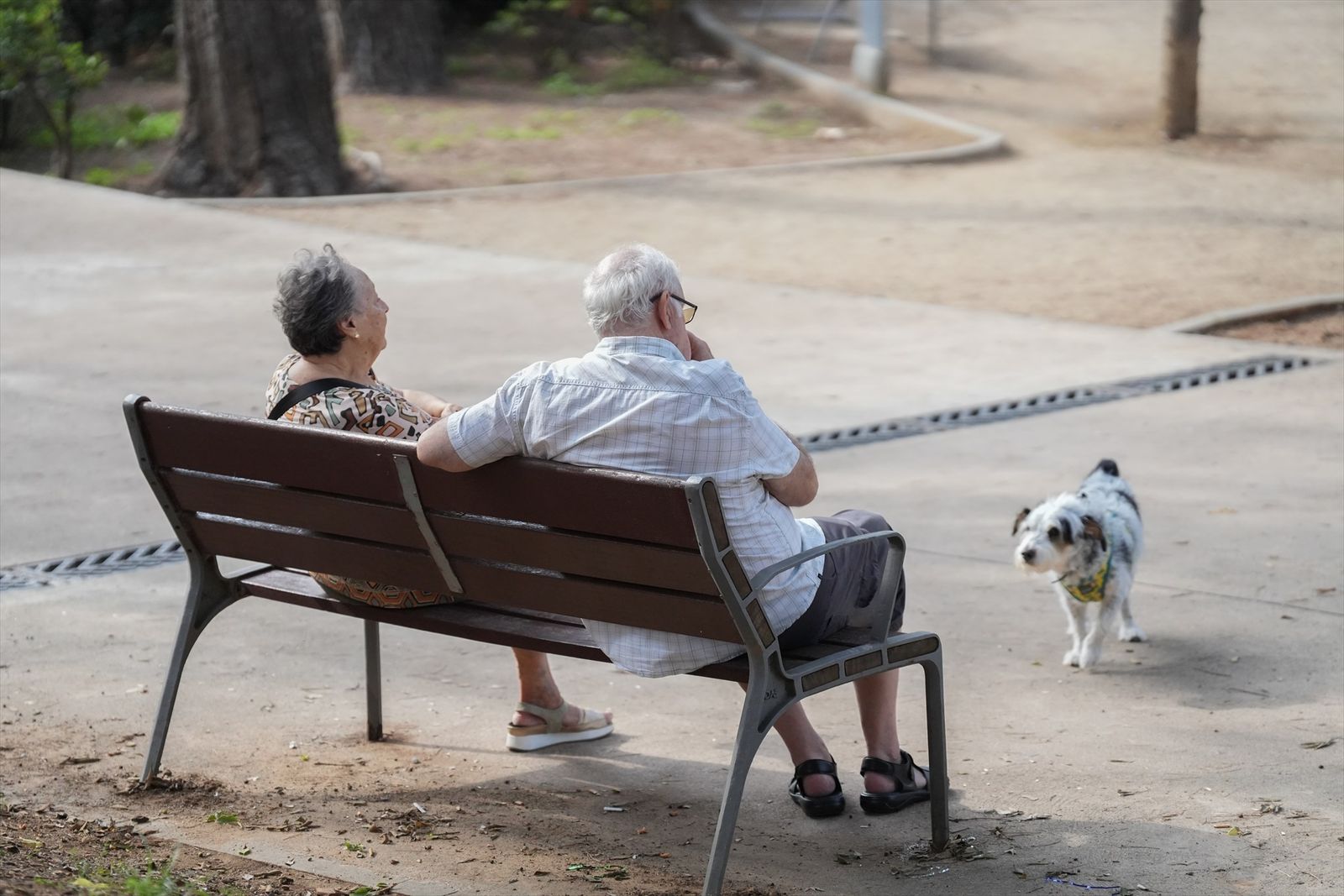 Dos personas mayores en un banco con un perro