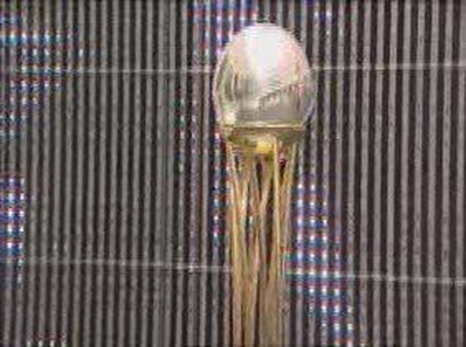 4basket_2011117V0.wmv