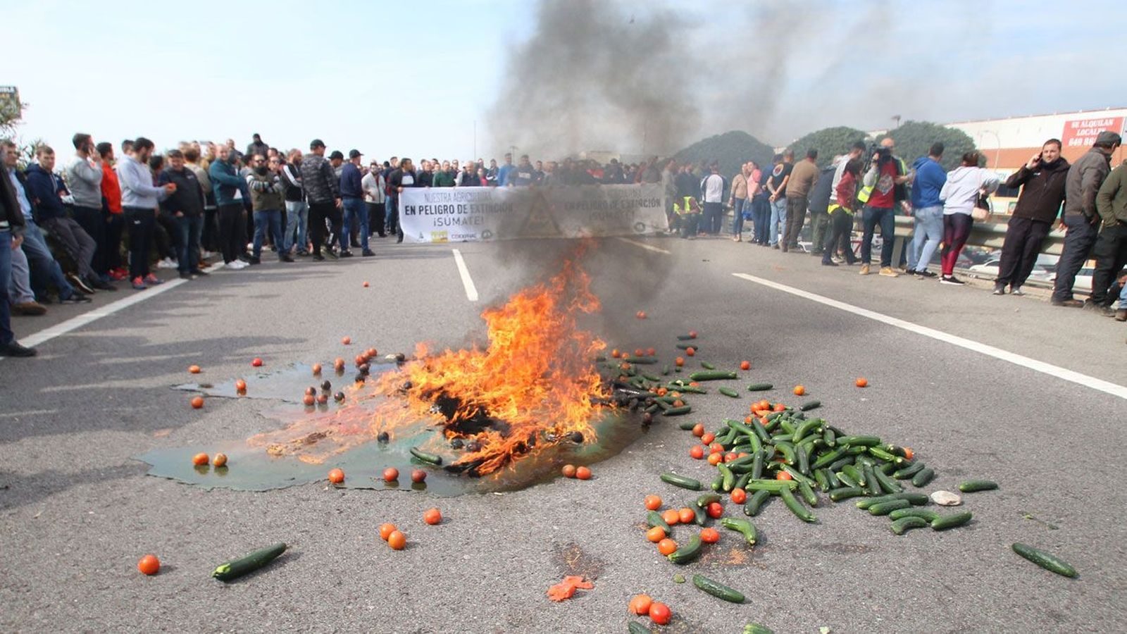 Las 'tractoradas' provocan cortes de carreteras en Extremadura y Andalucía