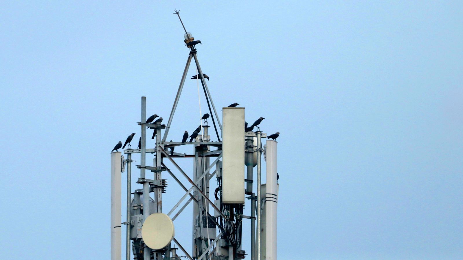 Antena de telecomunicaciones