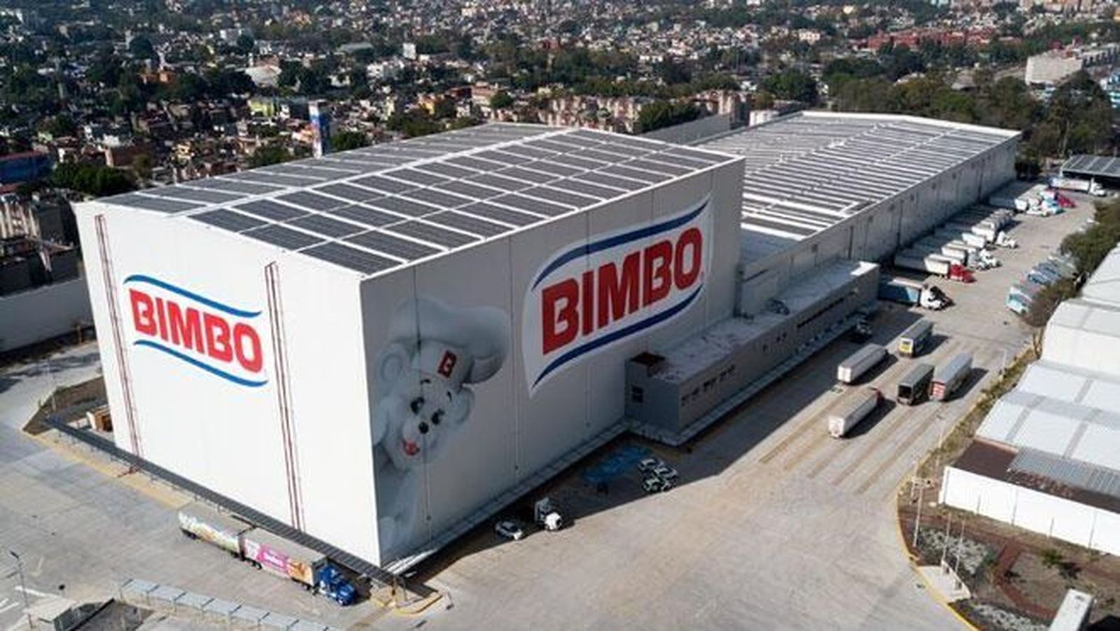 Bimbo