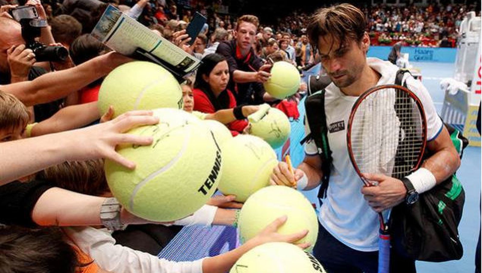 David Ferrer