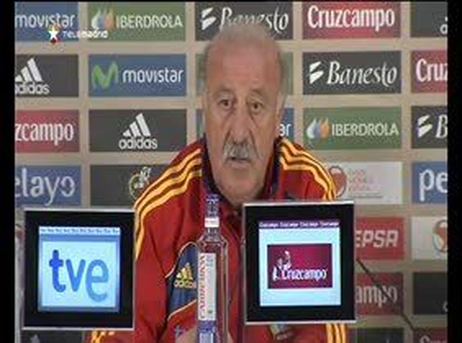 Del Bosque: "Me preocuparía que la gente en España no pudiera ver y seguir a su selección"