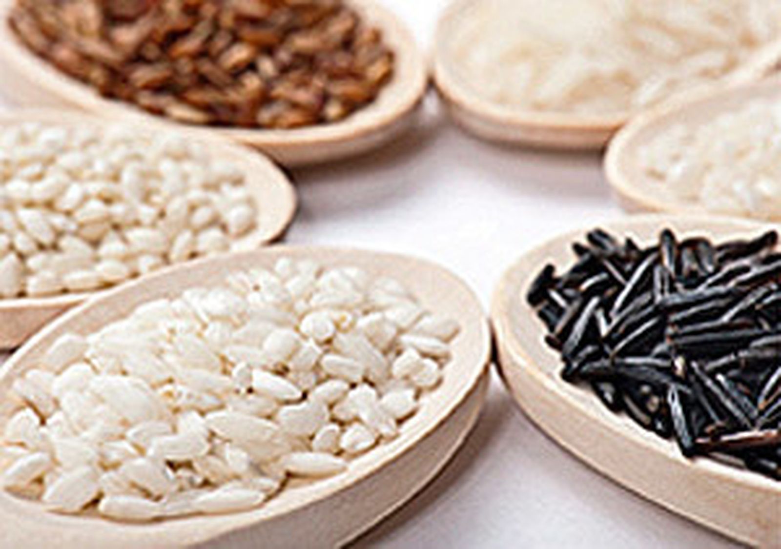 Algunas variedades de arroz