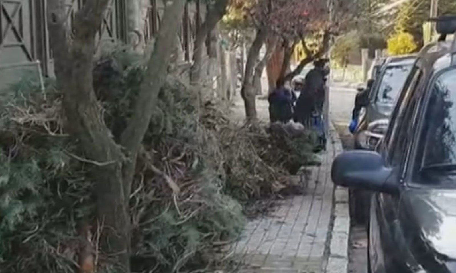 Vecinos de VIllaviciosa denuncian que las ramas de la poda invaden las aceras