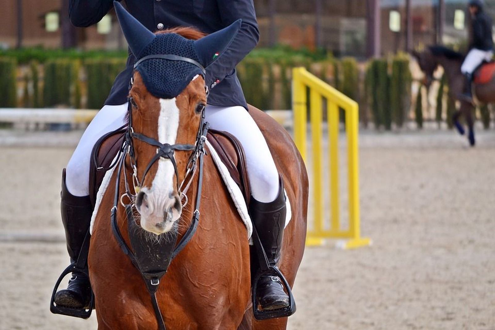 ¿Montar a caballo mejora tu salud?