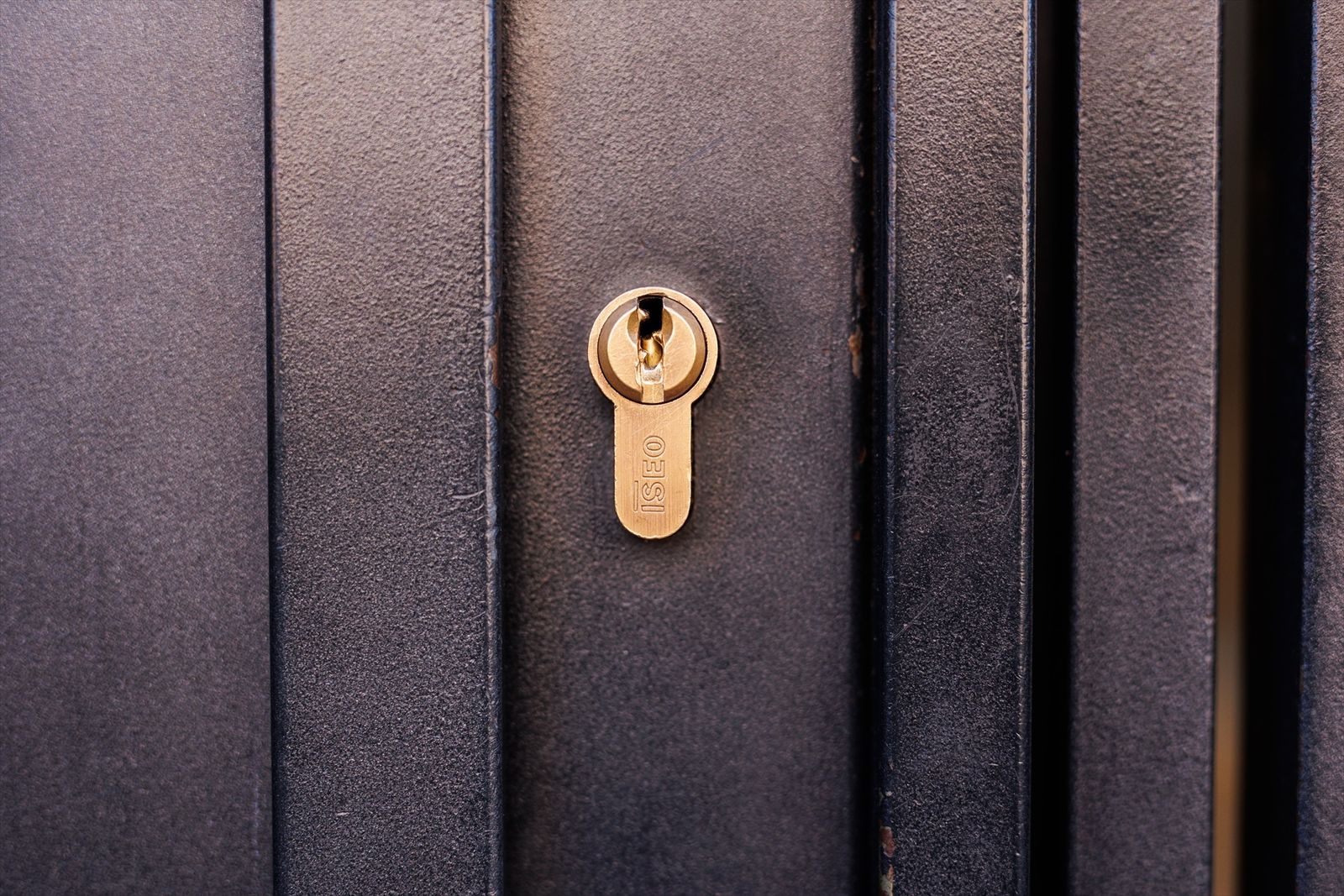Cerradura de la puerta de entrada a un domicilio