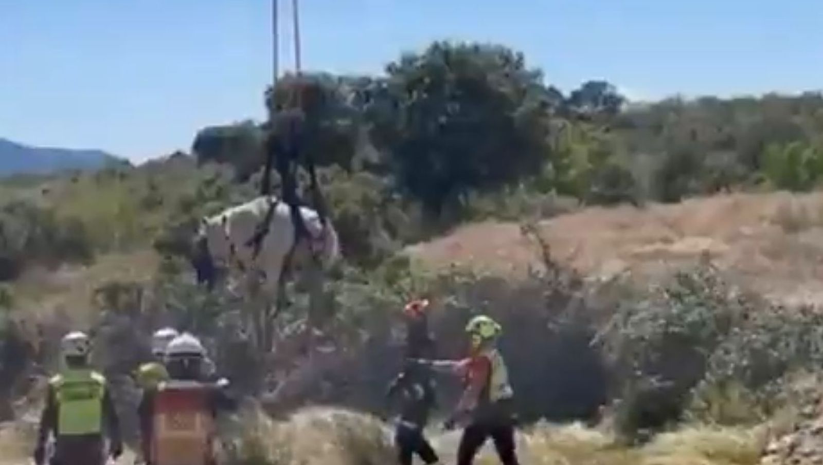Bomberos rescatan en Navas del Rey una yegua atrapada en un pozo