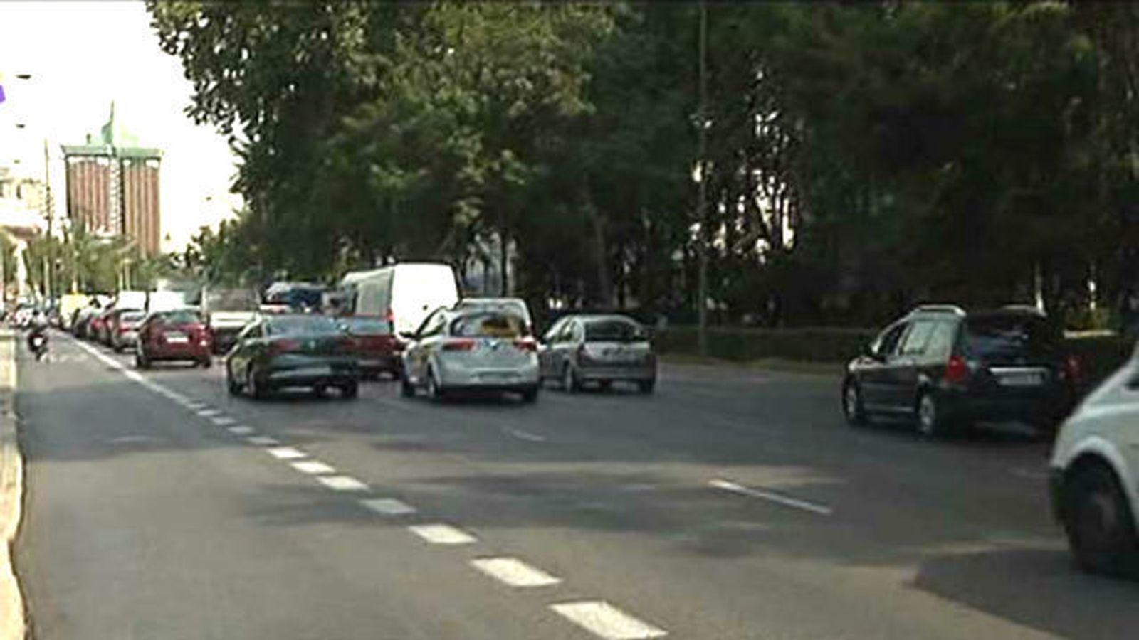 Hábitat Madrid anima a descubrir la naturaleza urbana en el paseo del Prado
