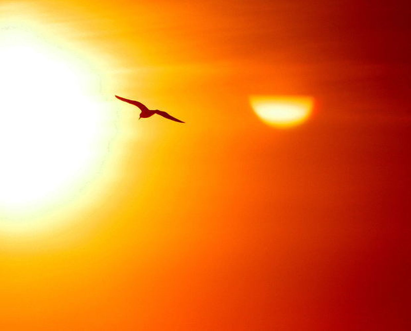caliente_temperaturas_470