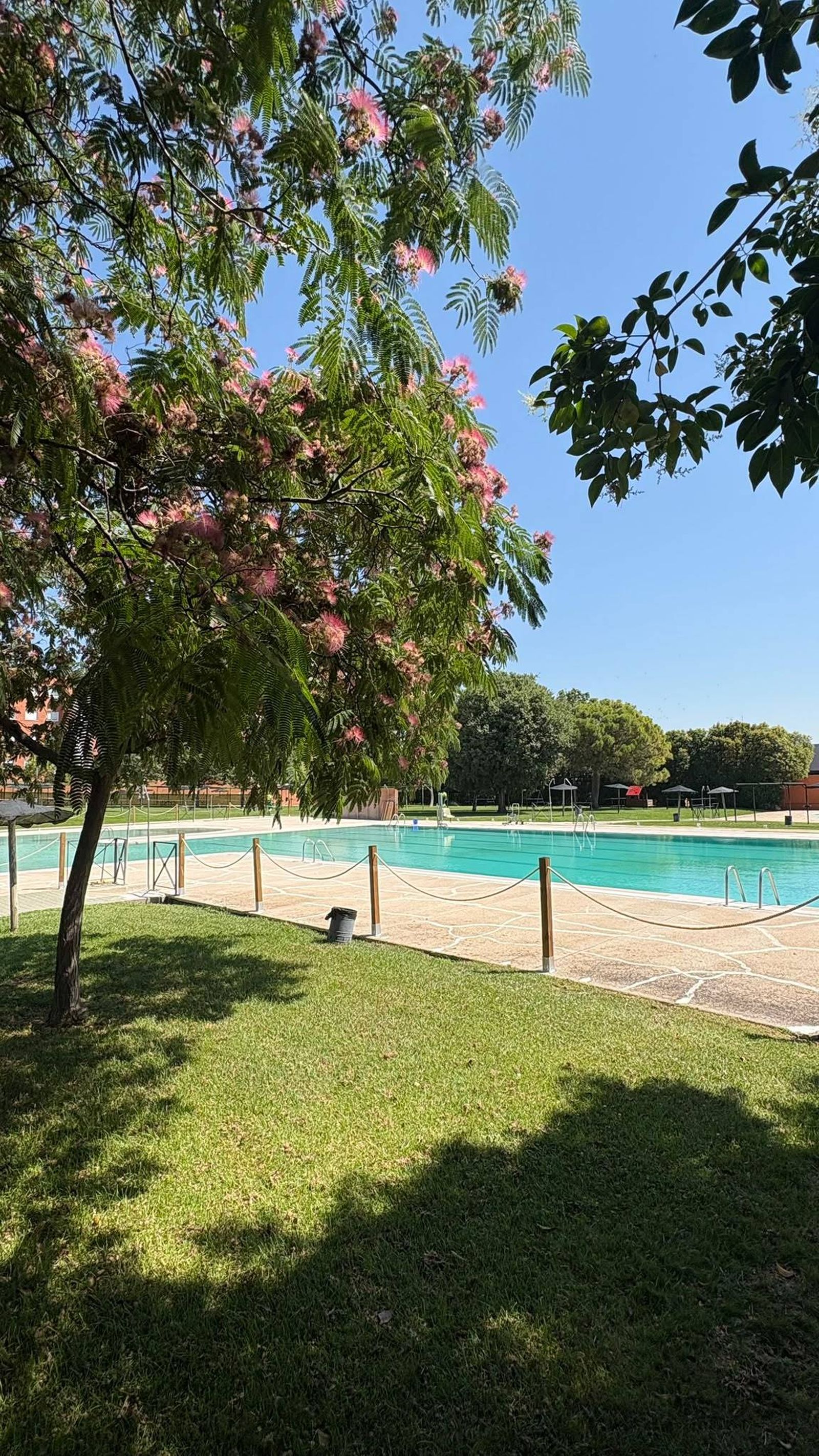 Piscina municipal de verano de Ciempozuelos