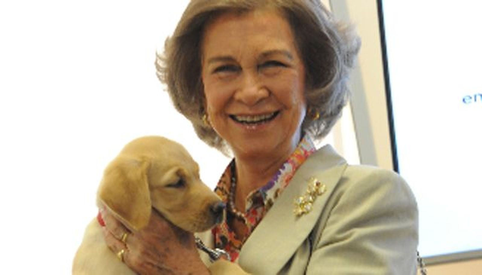 La ONCE ha entregado en 25 años más de 2.500 perros guía
