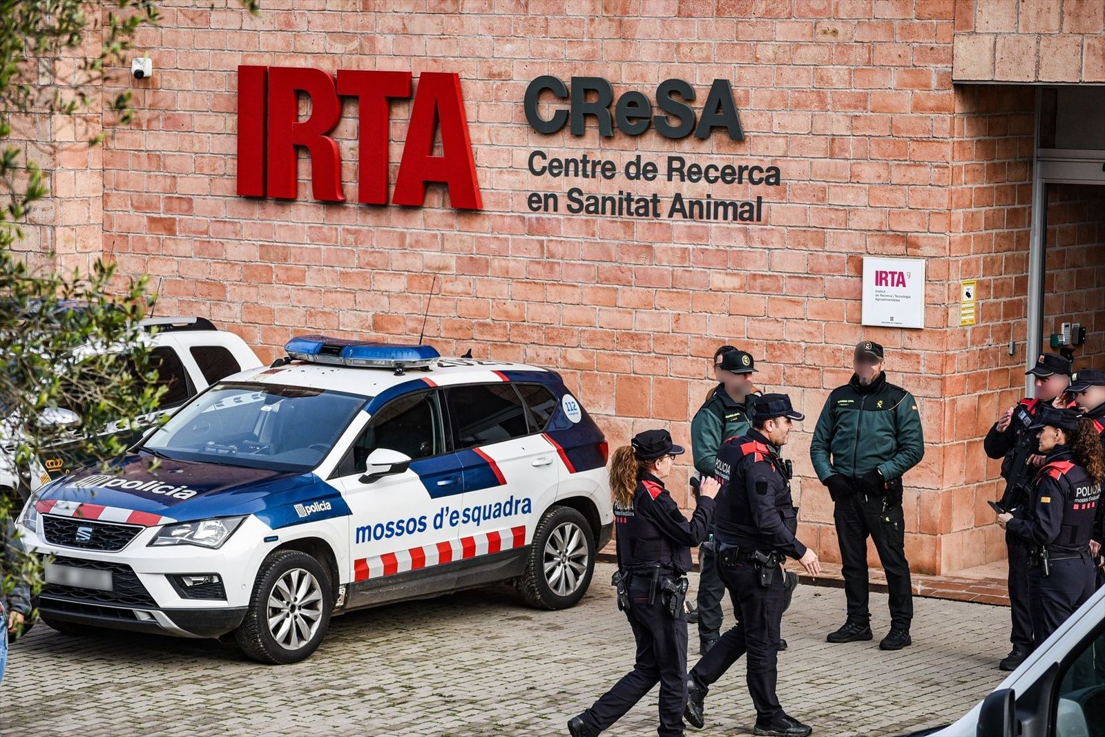 La Generalitat dice que no hay evidencias de un escape accidental del virus de la peste porcina