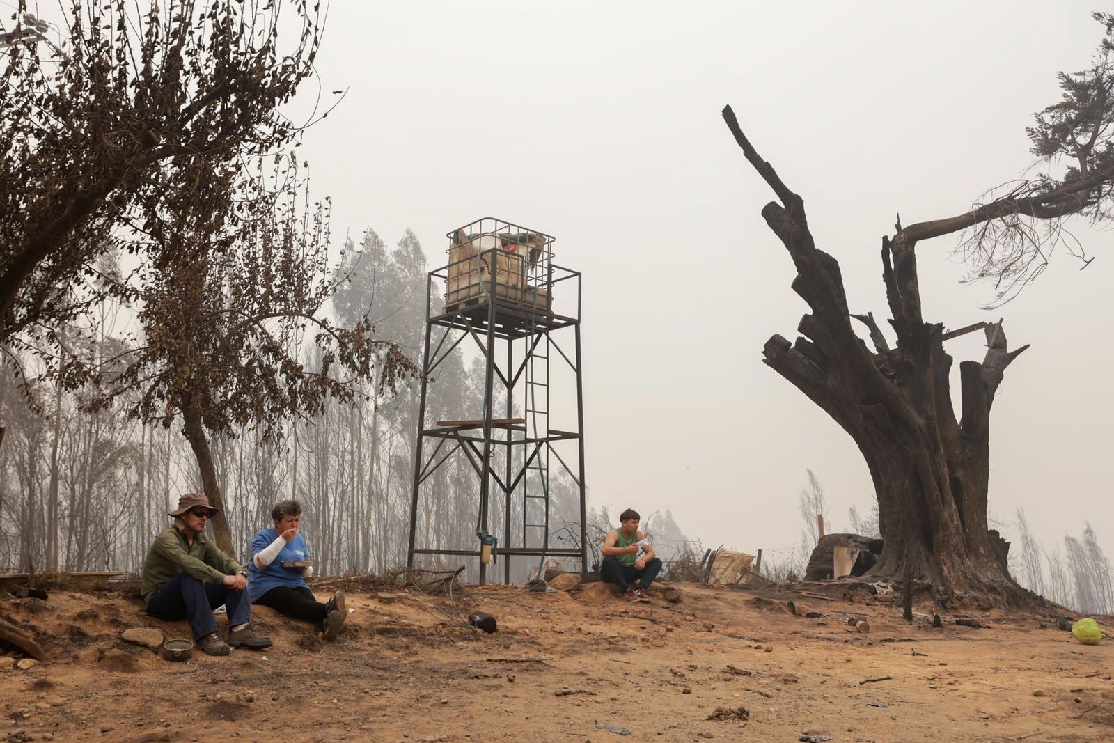 La oleada de incendios en Chile deja 23 muertos