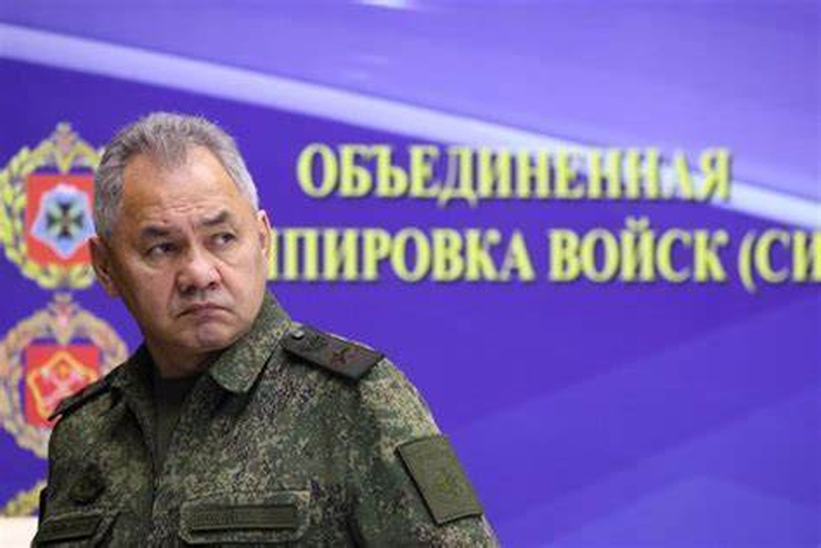 El ministro de Defensa de Rusia, Serguéi Shoigú