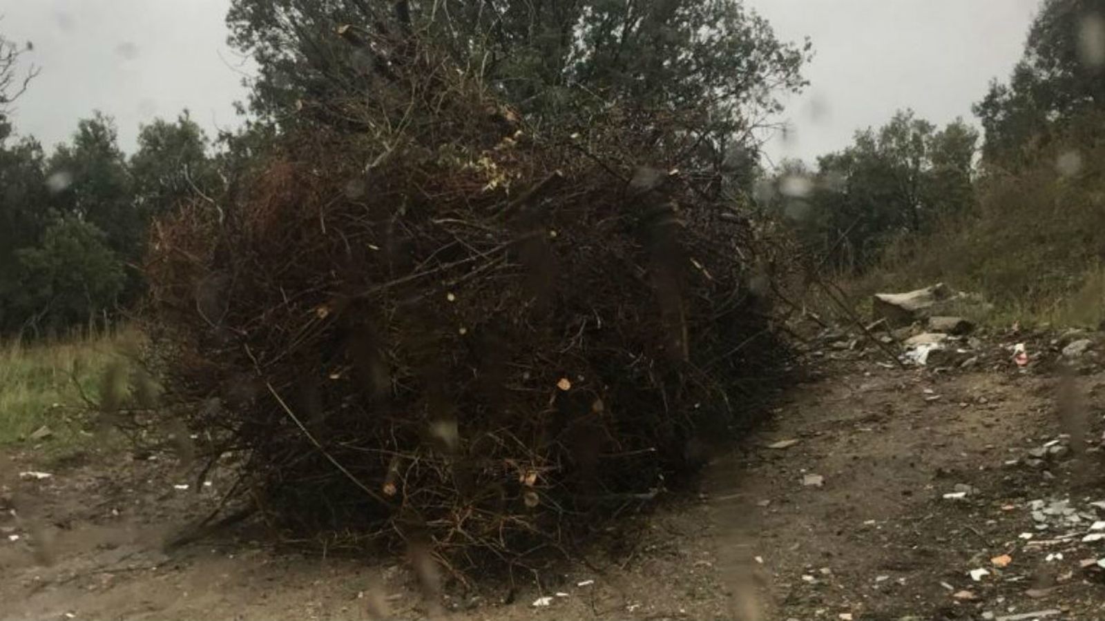 Vertidos en Guadarrama