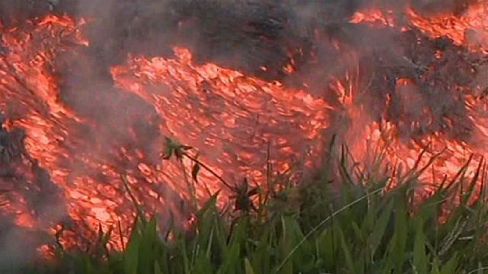 Erupción volcánica
