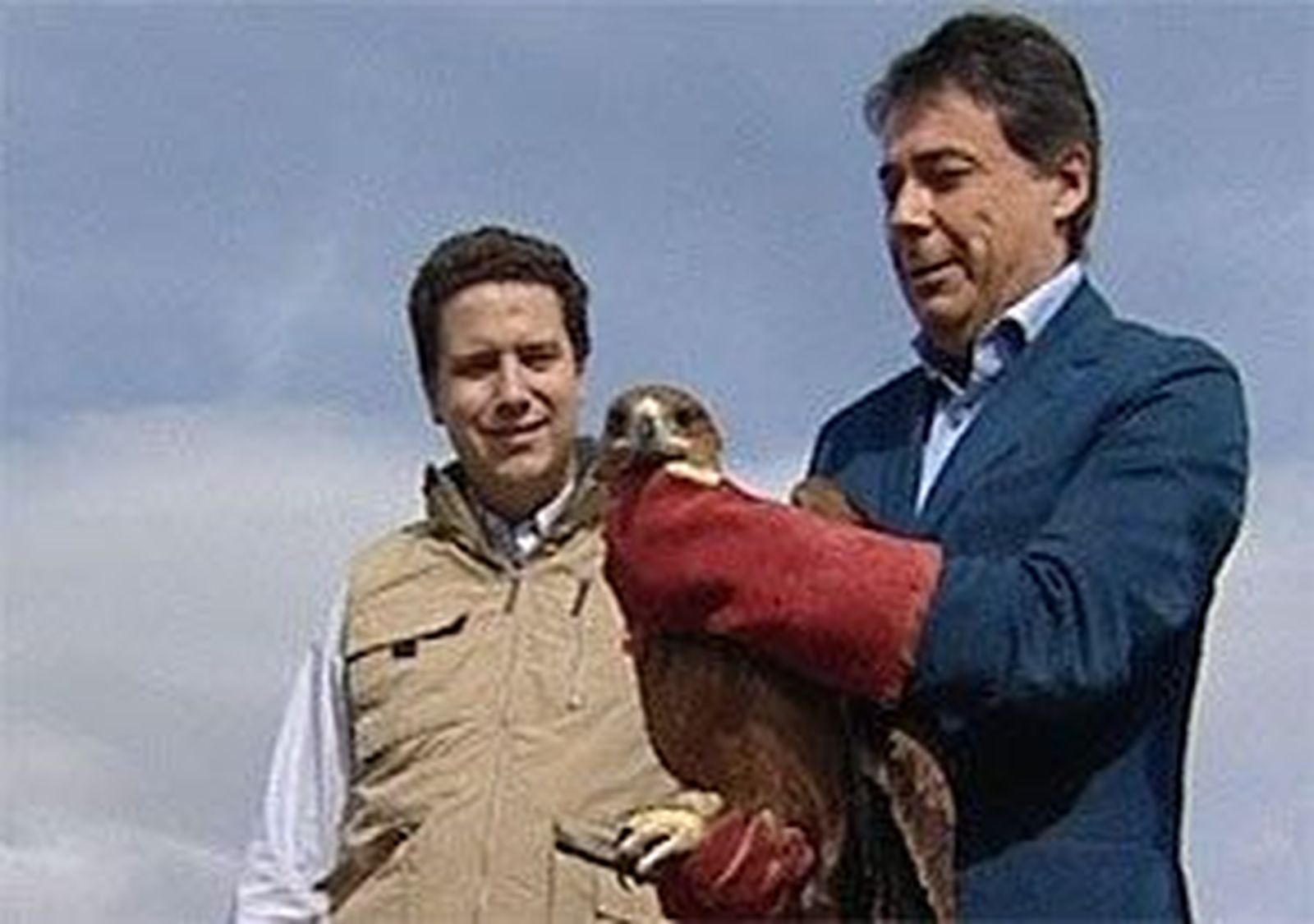 Un aguila imperial llamada Guadarrama