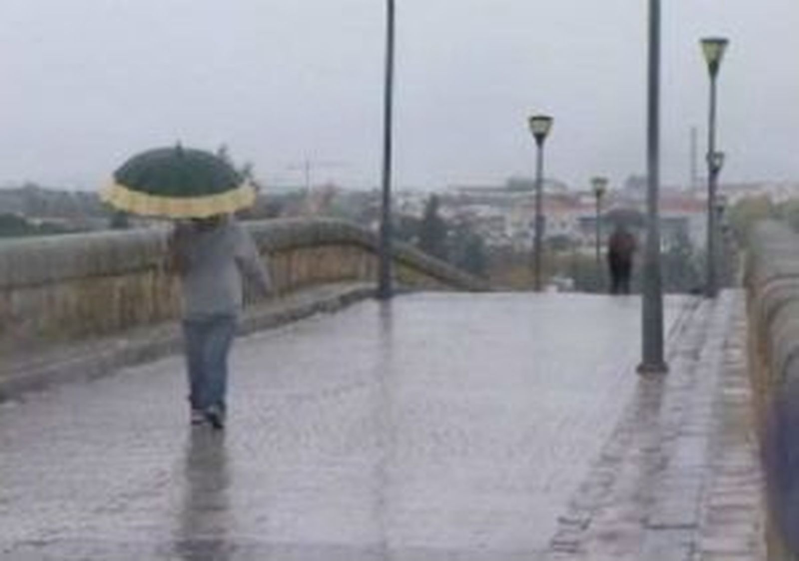 temporal_20111121V0.wmv