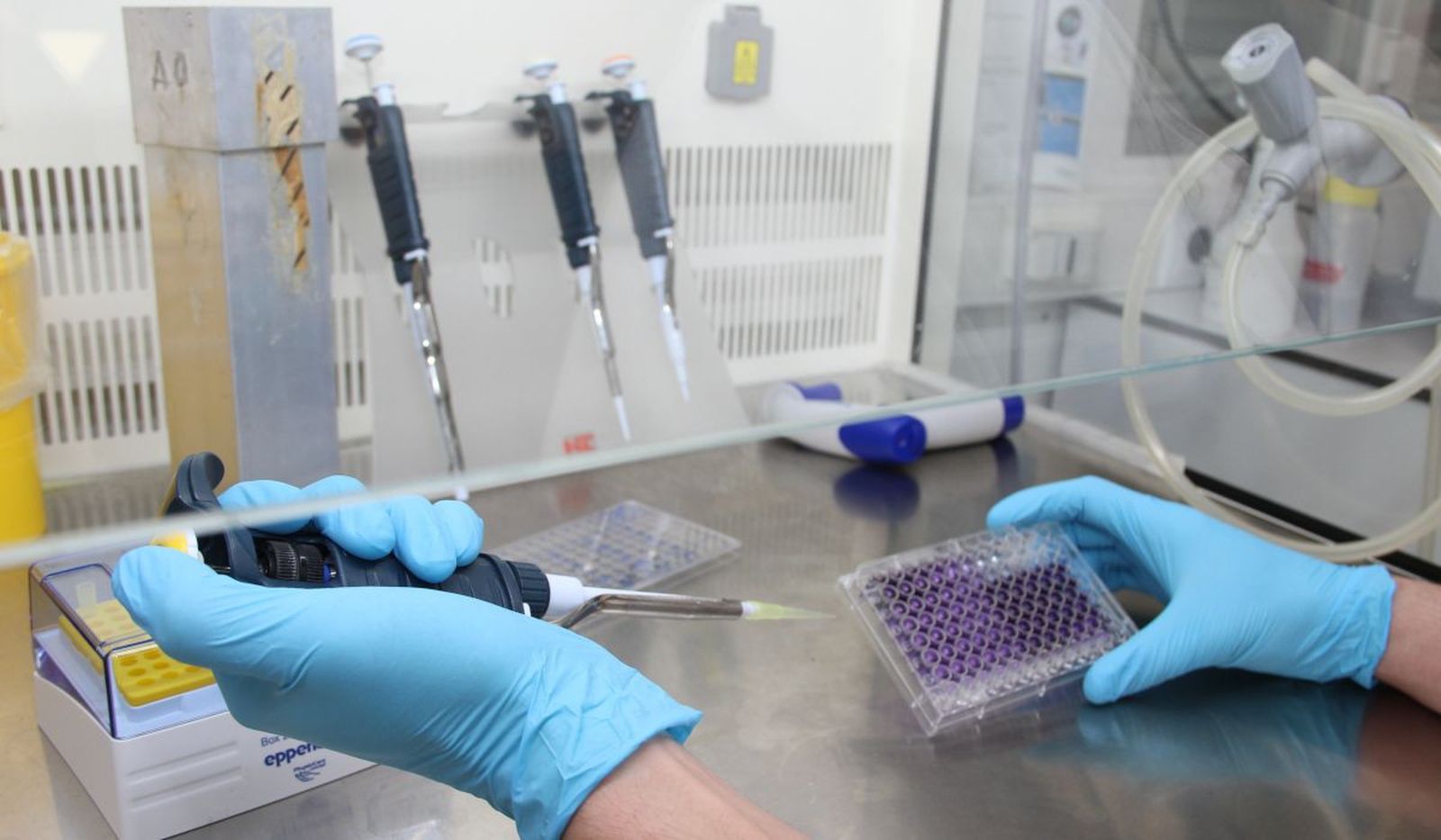 El Hospital Clínico estrena un laboratorio pionero para crear fármacos contra el cáncer mediante IA