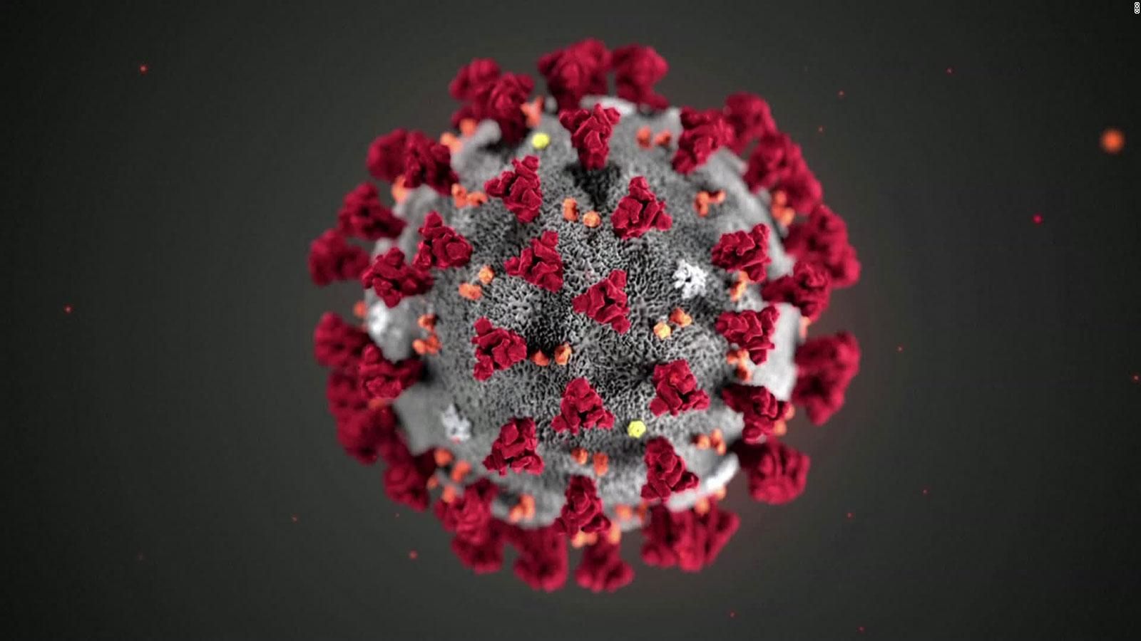 ¿Ha sido especialmente virulento el coronavirus en España?