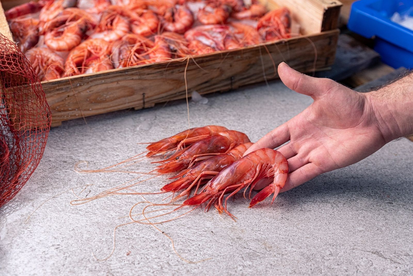 Gambas