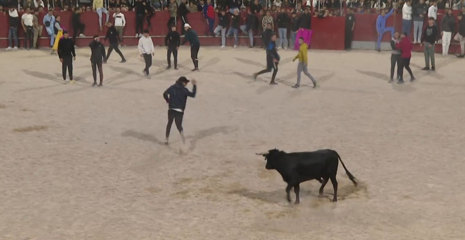 Festejo taurino nocturno en San Martín de la Vega