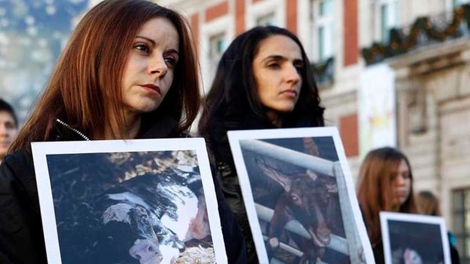 Igualdad Animal denuncia el "maltrato" de animales en granjas y mataderos
