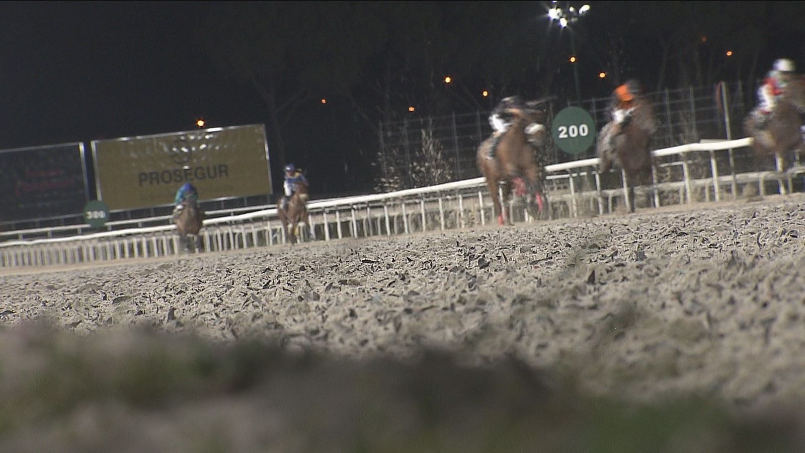 Las Noches del Hipódromo, una opción de ocio diferente y para todos