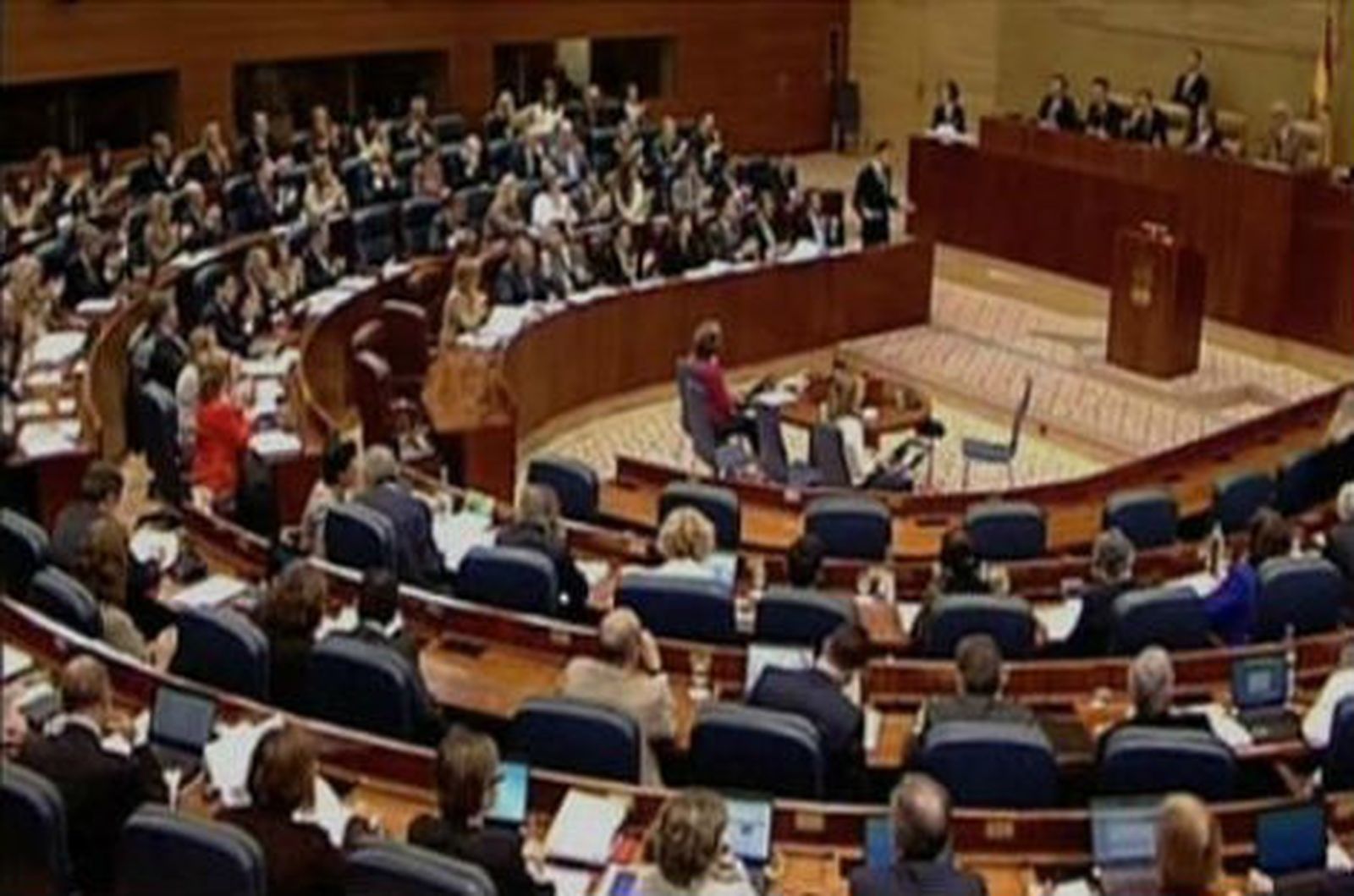 Asamblea, diputados