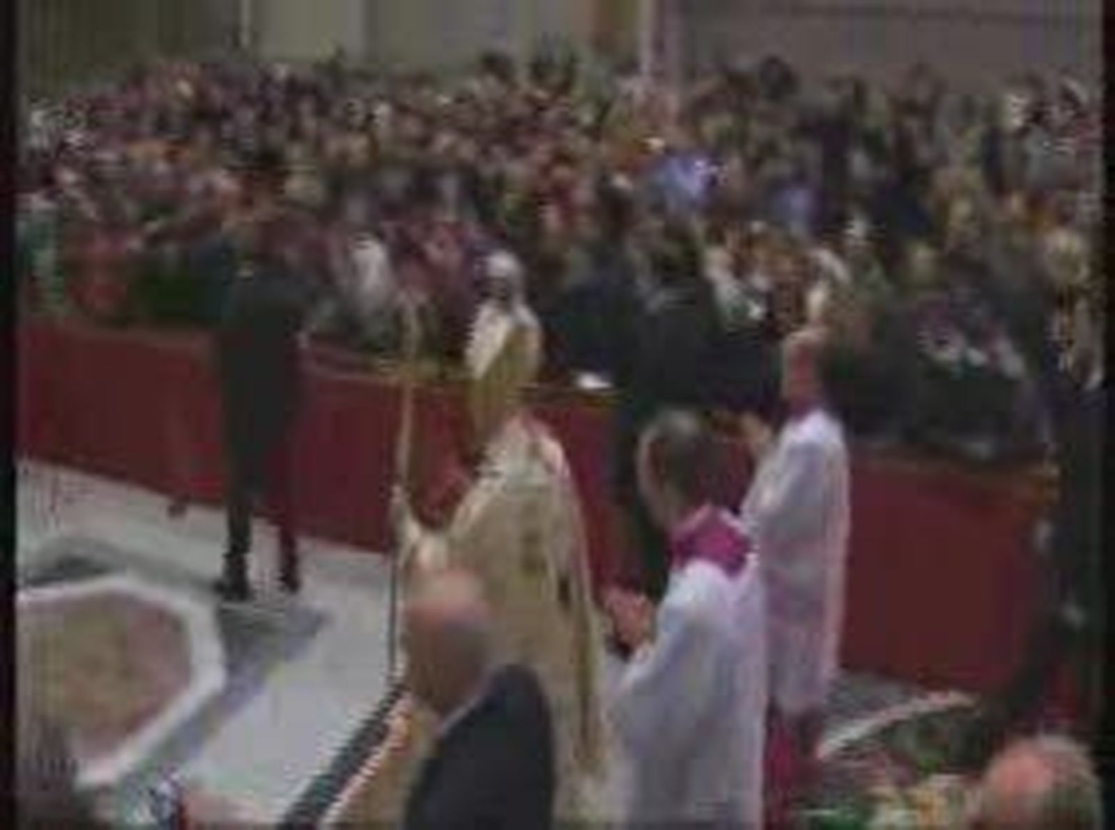 Misagallo_20101225V0.wmv