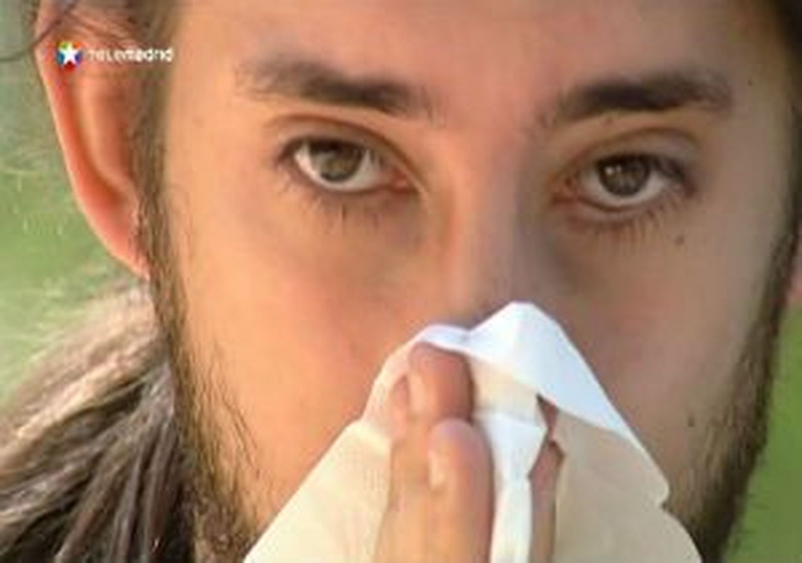 La Red Palinocam cumple dos décadas informando a los madrileños del pólen