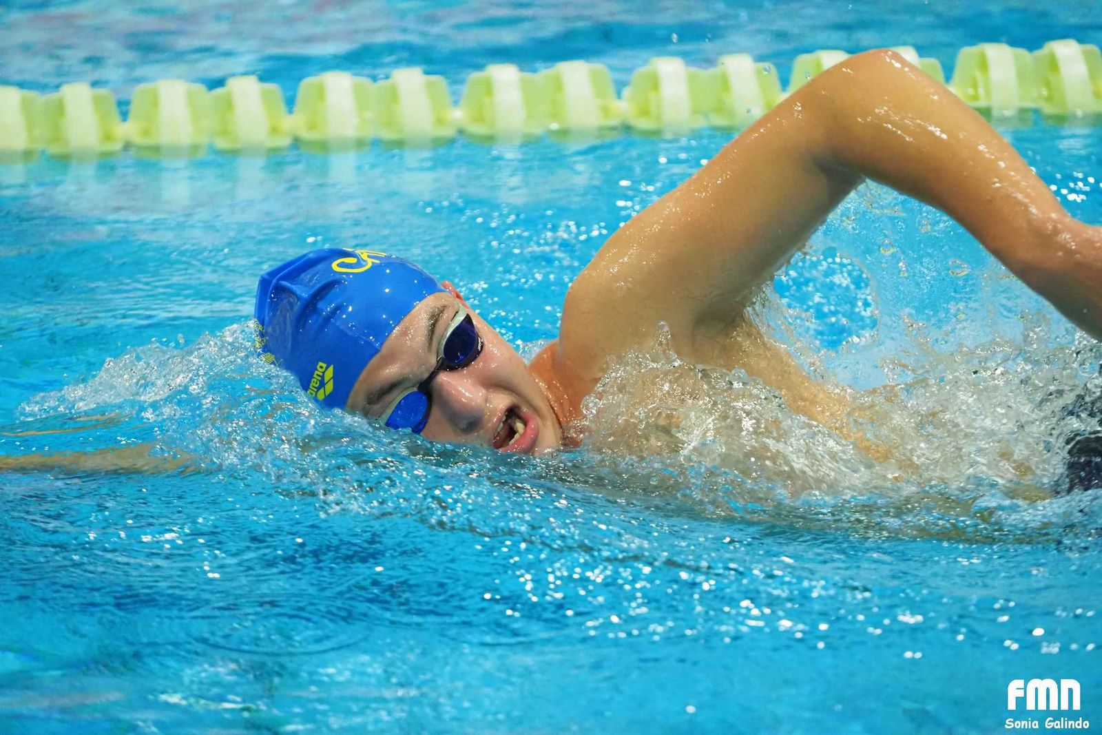 Natación de larga distancia