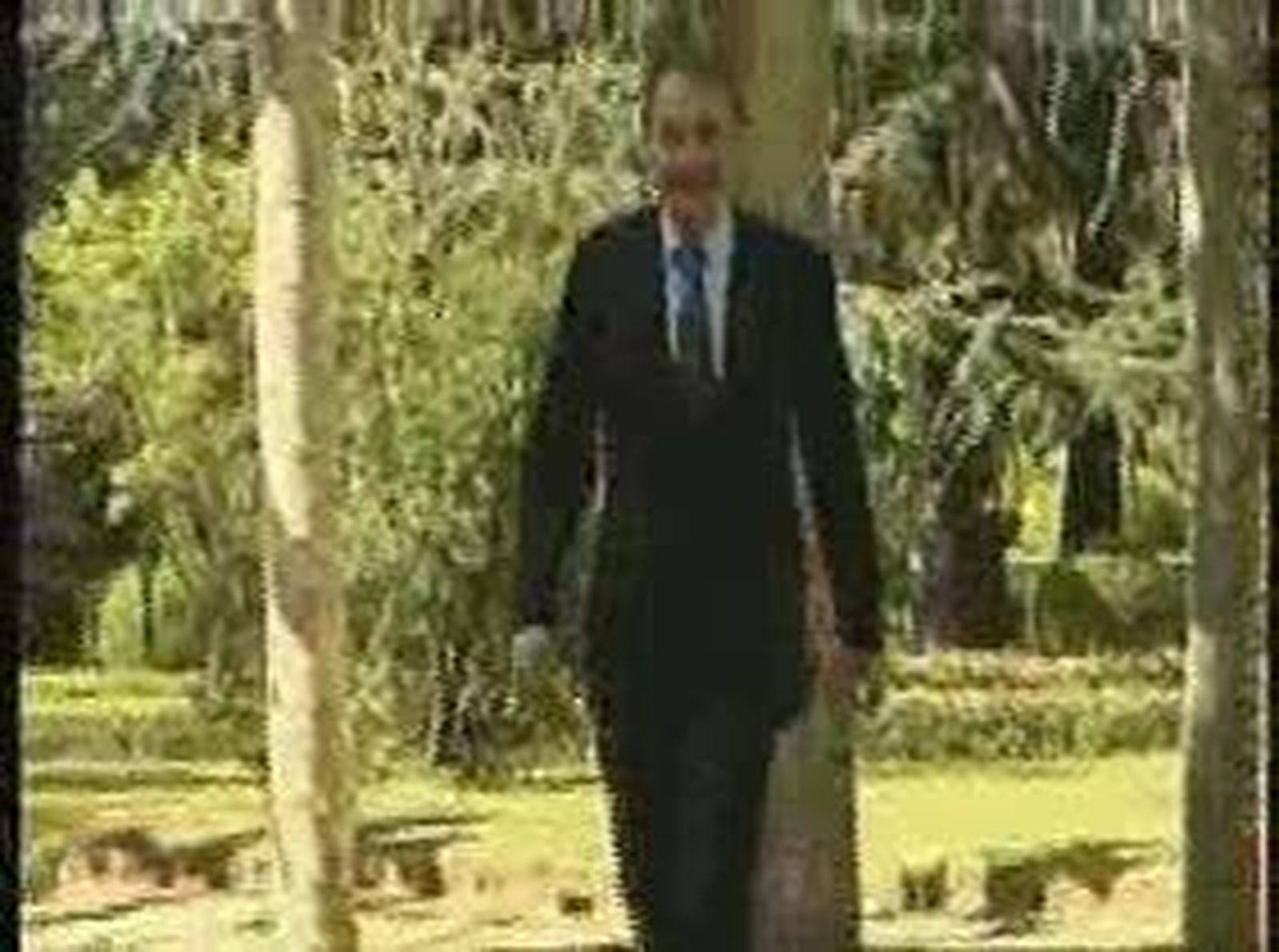 5zppasa_20101221V0.wmv