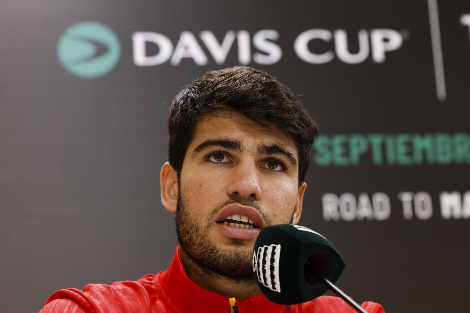 Alcaraz, sobre la Copa Davis
