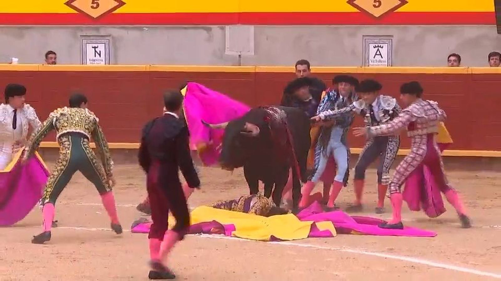 Tomás Angulo herido con dos cornadas en Moralzarzal