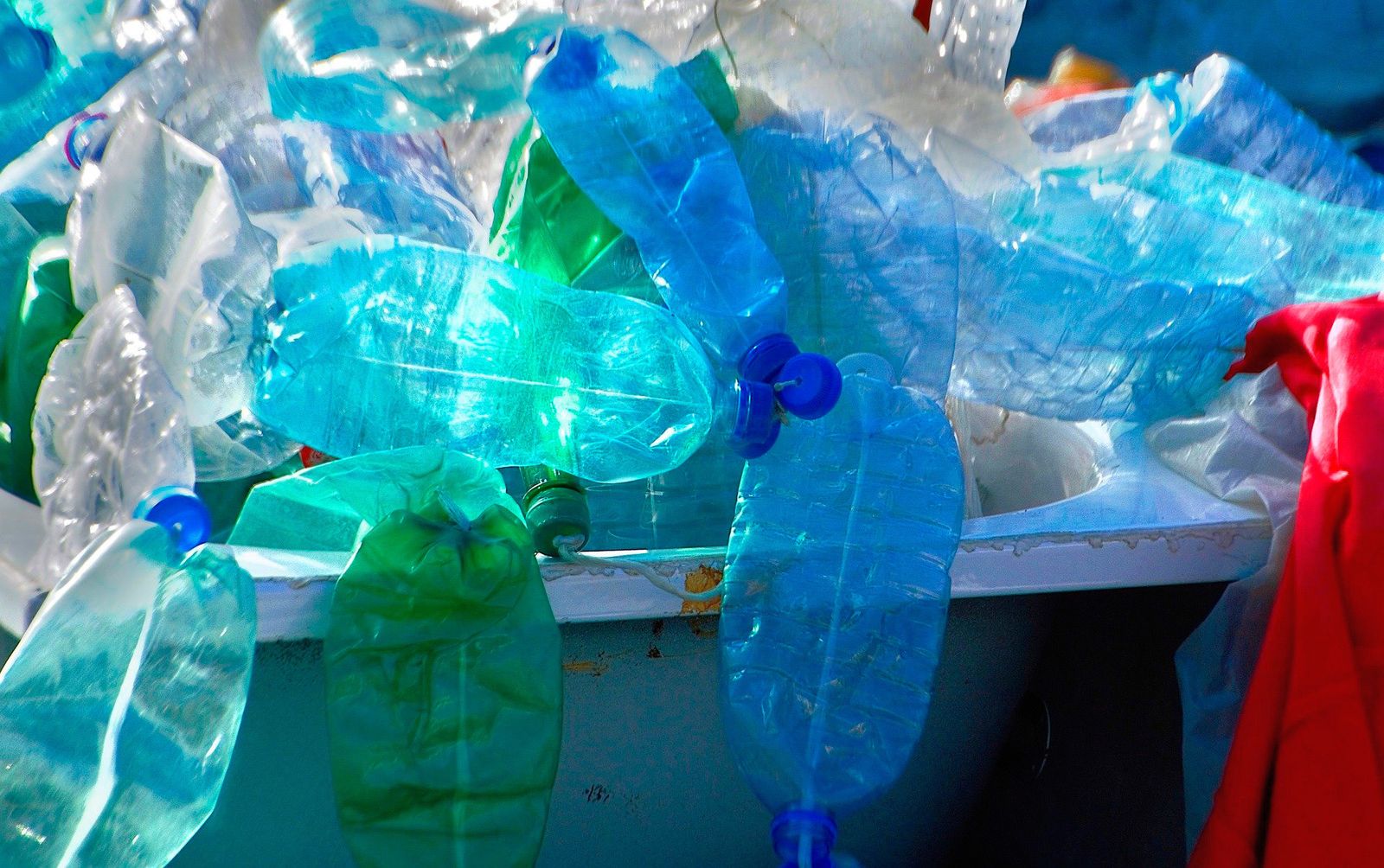 Botellas de plástico en un contenedor