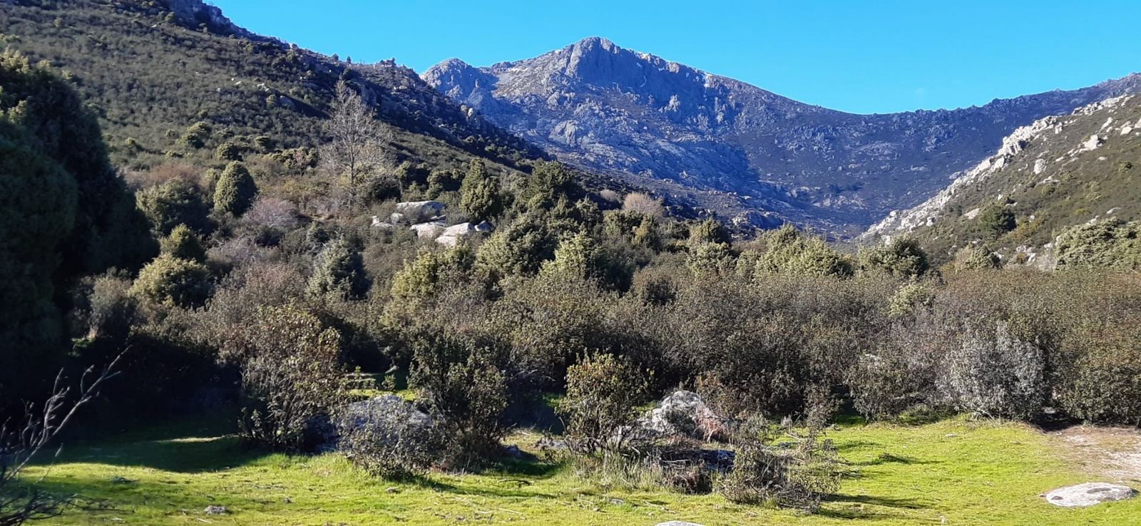 Vista de La Maliciosa desde las praderas de Mataelpino